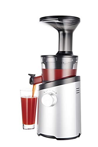 Hurom H101 Easy Clean Masticating Slow Juicer - Matte Silver