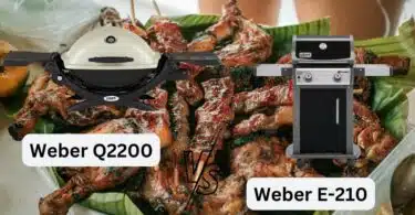 Weber Q2200 and E-210