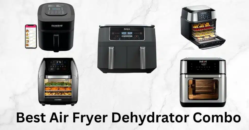 Best Air Fryer Dehydrator Combo