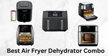 Best Air Fryer Dehydrator Combo