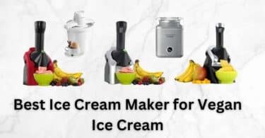 Best Ice Cream Maker for Vegan Ice Cream