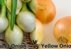 Sweet vs Yellow Onions
