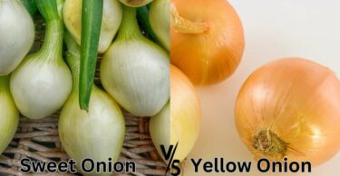 Sweet vs Yellow Onions