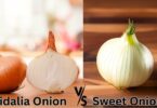 Vidalia Onion vs. Sweet Onion