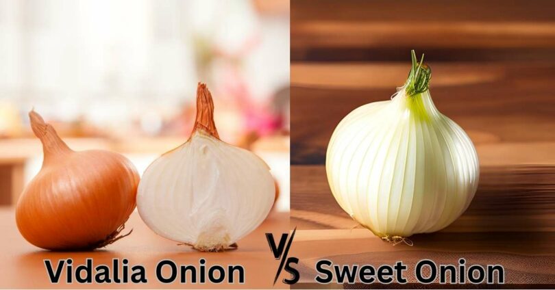 Vidalia Onion vs. Sweet Onion
